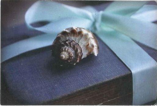 Atvirukas is Ukrainos