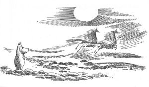 muminsex2_kopia3019331559684618373