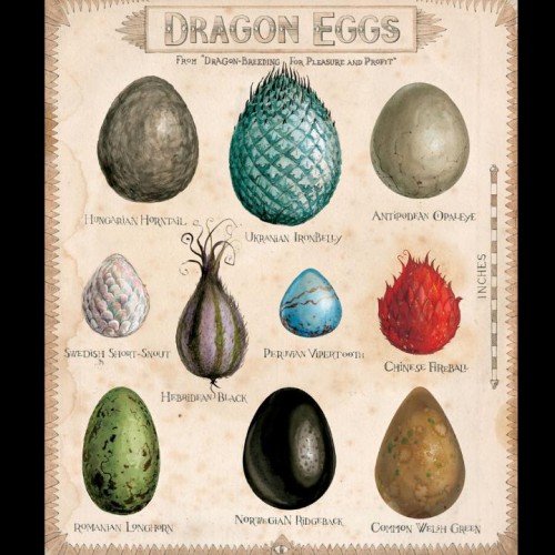 HP1_DragonEggs-large