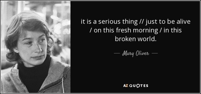 quote-it-is-a-serious-thing-just-to-be-alive-on-this-fresh-morning-in-this-broken-world-mary-oliver-49-54-71