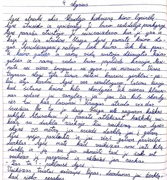 4 skyrius