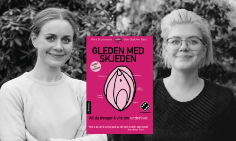 nin ir ellen su virseliu